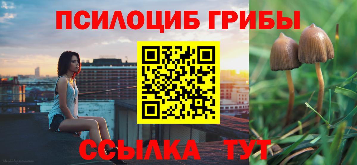Ноябрьск  Галлюциногенные грибы мицелий  Вход с VPN 